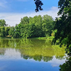 Espace naturel : le domaine de Soucy CCPL