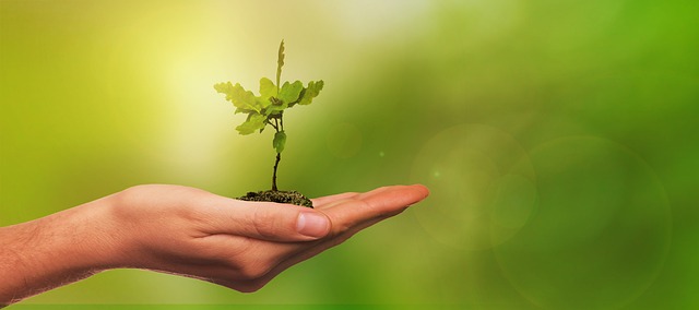 Le PCAET, un projet de développement durable au Pays de Limours