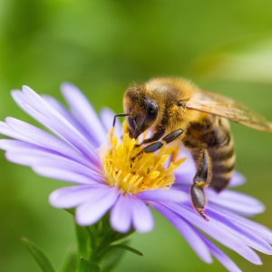 CCPL Environnement Pays de Limours