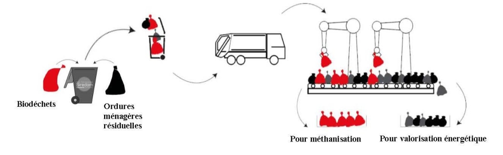 collecte simultanée