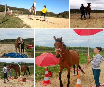 CAVAL&aposARI
