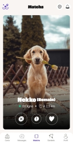 NOS CHIENS ET NOUS