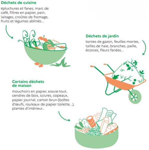 bio dechet