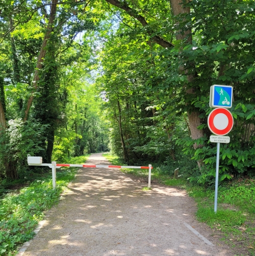 Photo rubrique Mobilités durables