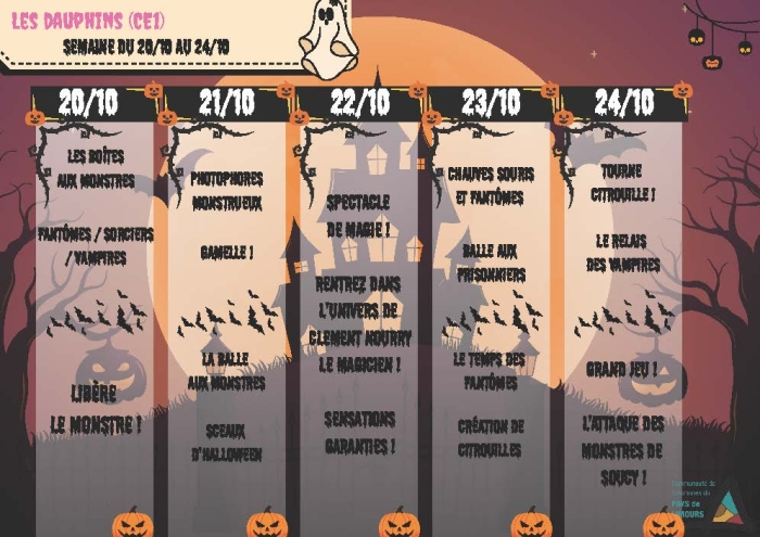 Programme vacances ACM élémentaire du 20 au 24 octobre - les dauphins (CE1)