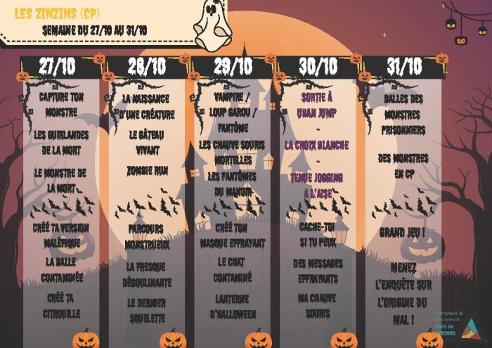 Programme vacances ACM élémentaire du 27 au 31 - les zinzins (CP)