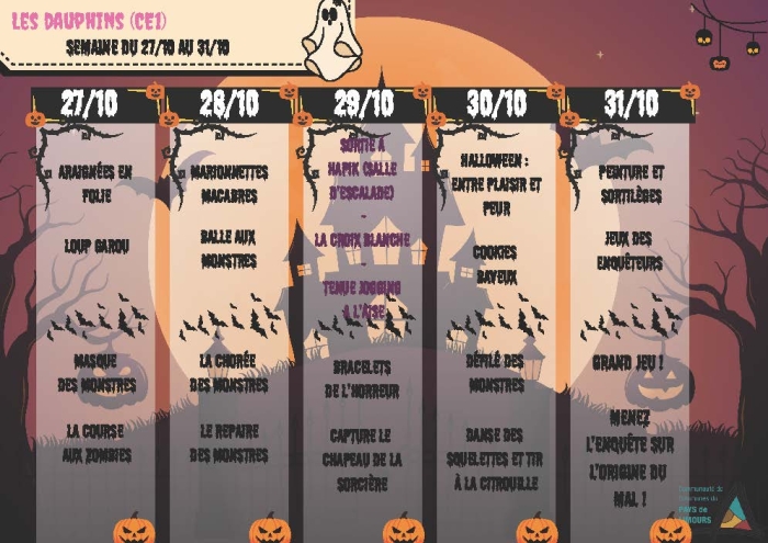 Programme vacances ACM élémentaire du 27 au 31 - les dauphins (CE1)